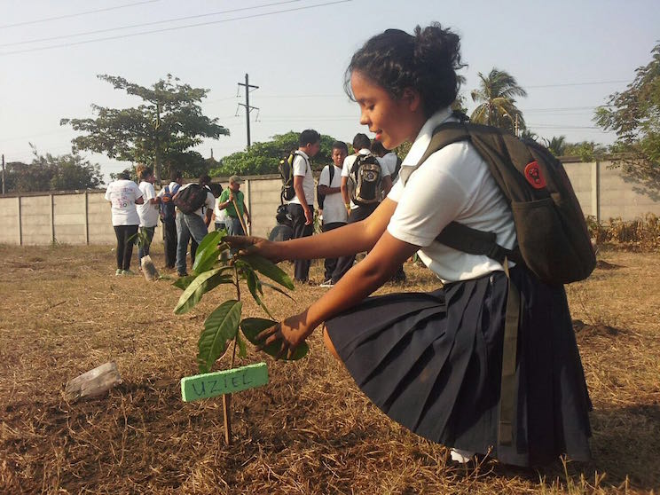 Yo Adopto un &Aacute;rbol
